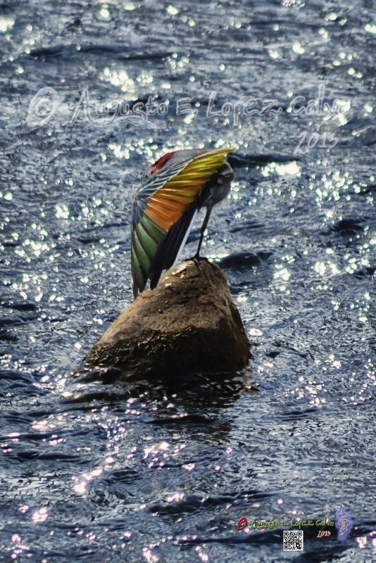 Equilibrio sobre una piedra.jpg